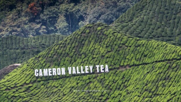 Cameron Highlands