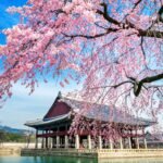 Exploring South Korea: Travel Guide