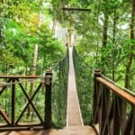 National Parks in Malaysia