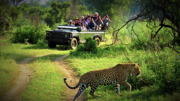 Jungle Safari in Chitwan National Park